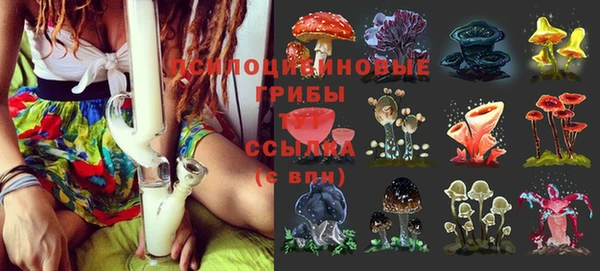 мяу мяу мука Бородино