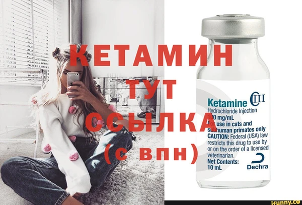 мяу мяу мука Бородино