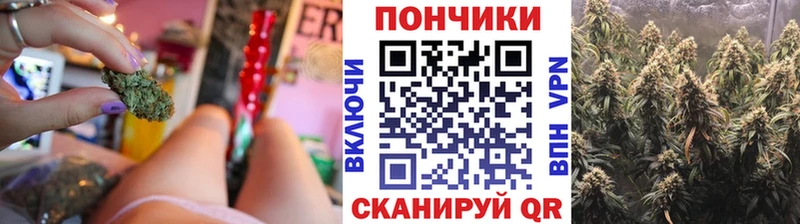 дарнет шоп  Подольск  omg tor  Бошки марихуана семена 